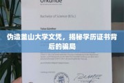伪造名校文凭，揭秘学历认证的暗流涌动