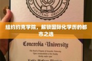 纽约约克学院，解锁全球视野，国际化学历的璀璨都市篇章