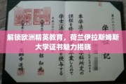 荷兰伊拉斯姆斯大学，探秘国际精英教育的独特魅力