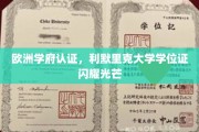 利默里克大学学位证，欧盟认证下的璀璨学术荣耀