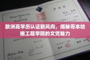 哥本哈根工程学院高学历新标杆，探索欧洲认证的国际化魅力