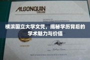 探寻横滨国立大学文凭，揭秘学术殿堂的非凡魅力与珍贵价值