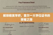 解锁精英学府，里尔一大学位证书的荣耀之路