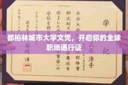 都柏林城市大学文凭，解锁全球职场无限可能