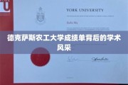 德克萨斯农工大学，成绩单之外，探索学术魅力之光