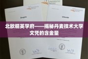 丹麦技术大学文凭，北欧精英学府的金钥匙