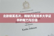 解锁北欧科技精英名片，丹麦技术大学证书的非凡力量