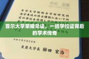 首尔大学骄子，学位证书映照下的辉煌学术征程