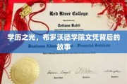 揭开布罗沃德学院文凭的荣耀面纱，一场学历背后的传奇之旅