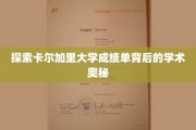 解密卡尔加里大学成绩单，揭秘学术成就的隐藏密码