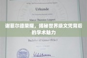探寻谢菲尔德荣耀，世界级文凭背后的独特学术风采