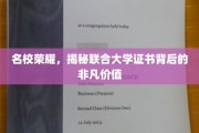 联合大学证书，名校光环下的隐藏实力与价值
