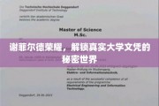 解码谢菲尔德荣耀，揭开大学文凭背后的真实奥秘