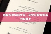 东京情报大学毕业证，解锁未来世界的钥匙