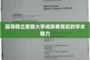 揭开莱顿大学成绩单，探寻荷兰高等教育的奥秘