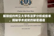 揭开纽约州立大学布法罗分校成绩单背后的卓越之路