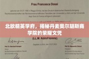 解码北欧教育之光，丹麦奥尔胡斯商学院的卓越文凭探秘