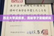 西北大学成绩单，揭秘学子荣耀瞬间