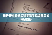 解码哥本哈根工程学院学位证的独特魅力