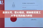 国际赞誉，工艺独步，探究都灵理工大学学位的独特吸引力