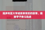 解码维大成绩单，学子奋斗轨迹的幕后传奇