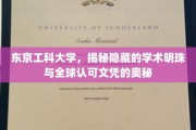 揭开东京工科大学的神秘面纱，学术明珠与国际化文凭背后的故事