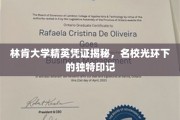林肯大学精英身份的神秘面纱，名校精英凭证背后的独特魅力