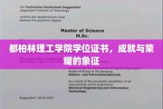 都柏林理工学院学位荣耀，解锁成功与成就的密钥