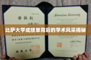 探寻比萨大学成绩单背后的学术魅力之光
