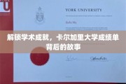 解锁学术成就，卡尔加里大学成绩单背后的故事