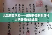 丹麦利利贝特大学证书，北欧精英学府的含金量揭秘之旅