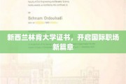 跨越国界，林肯大学证书引领职场未来之路
