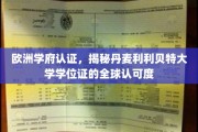 跨国认可之光，丹麦利利贝特大学学位证的全球通行证揭秘