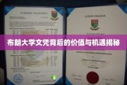 布朗大学文凭的隐藏价值与未来无限可能探索