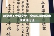 欧洲通行证，都灵理工大学文凭，全球认可的学术实力象征