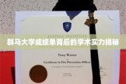 群马大学，揭秘隐藏在成绩单背后的卓越学术底蕴