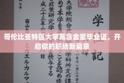 DC大学金牌通行证，助你职场飞跃巅峰
