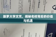 解码新罗精英，名校文凭背后的无限价值与璀璨机遇