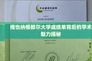 揭开维也纳模都尔大学成绩单的学术奥秘，探寻非凡学术之旅