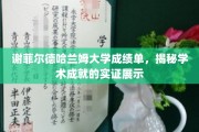 谢菲尔德哈兰姆大学成绩单，揭秘学术成就的实证展示