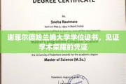 谢菲尔德哈兰姆大学荣耀证书，承载学术成就的见证之章