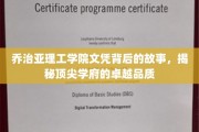 探寻乔治亚理工学院辉煌背后的卓越基因