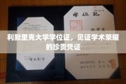 利默里克大学学位证，成就梦想的荣耀印记，一纸证书背后的学术辉煌