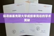 解码埃塞克斯大学成绩单，揭秘学术成就的神秘面纱