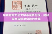 揭开布法罗分校成绩单背后的学术奥秘之旅