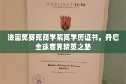 法国英赛克商学院精英通行证，铺就国际商界璀璨未来