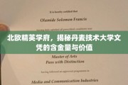 丹麦技术大学文凭的北欧精英价值解析，揭秘其卓越的教育实力与就业前景