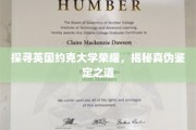 解码约克大学传奇，揭秘学术真伪识别秘籍