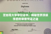 揭秘芝加哥大学学位证书，探寻顶尖学府的荣耀象征