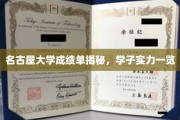 名古屋大学学子实力大揭秘，成绩单背后的精彩故事